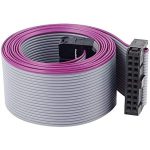 CABLE IDE HEMBRA-HEMBRA 10x2 16cm IDE20PIN-HH16CM